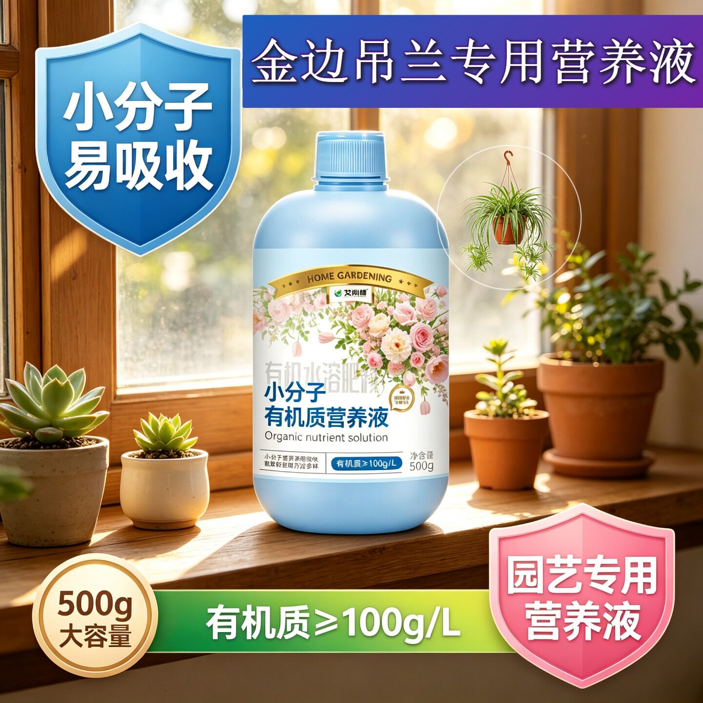 金边吊兰专用观叶型营养液快速吸收园艺家用浓缩高效根叶双补盆栽