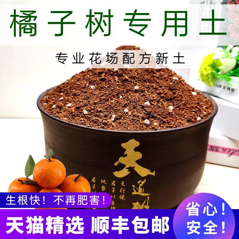 橘子树专用土轻质土沃柑培植土金桔土柑橘果树通用型营养土壤育苗