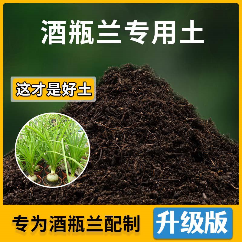 酒瓶兰专用土酒瓶兰营养土家用种植土壤家庭盆栽种花养花有机土