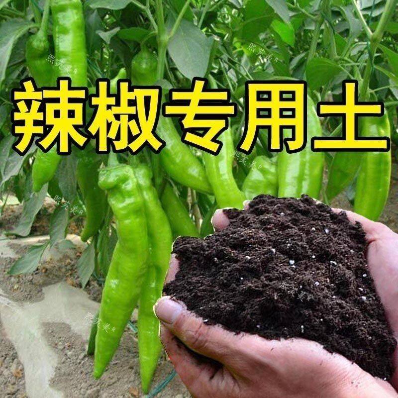 辣椒专用土扦插种花土营养土通用型阳台种菜土蔬菜种植土育苗土壤