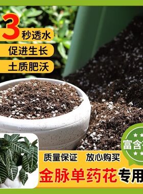 【金脉单药花专用土】家用盆栽土加生根粉绿植专用有机植物营养肥