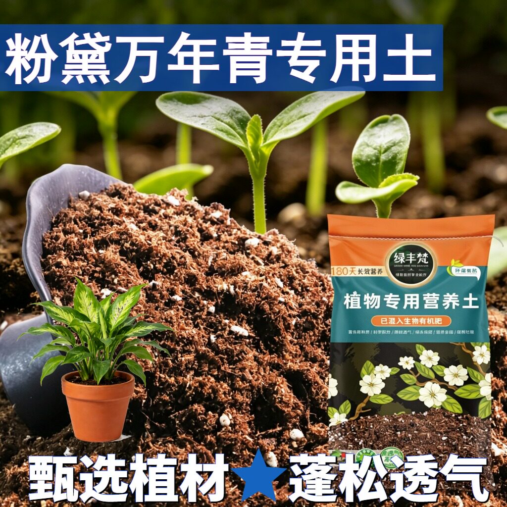 粉黛万年青专用育苗土防烂根家庭种植土有机调节土质试用装喜酸