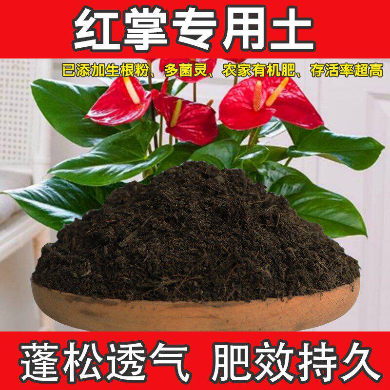 红掌专用土植物通用种花专用防生虫红掌营养土壮根花土吸收快肥料