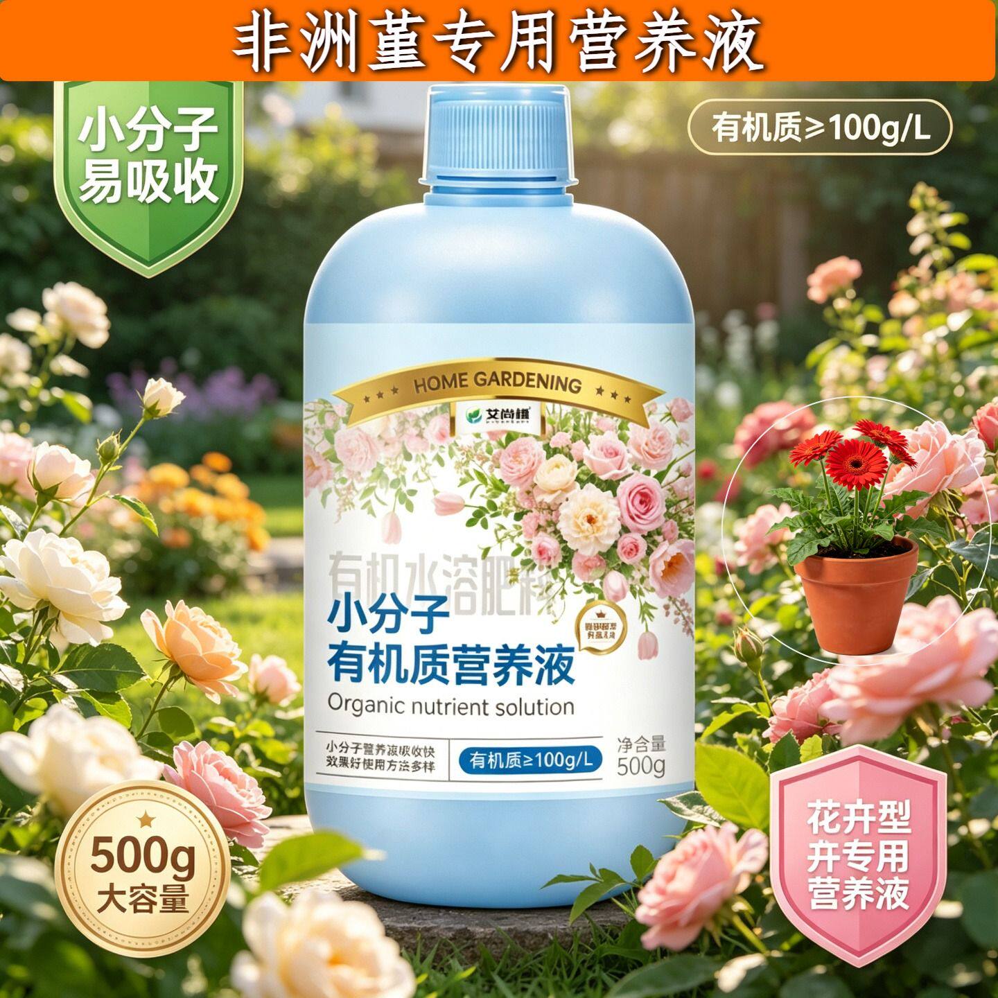 非洲堇专用浓缩型营养液根叶双补壮根促长家用盆栽浓缩高效适用