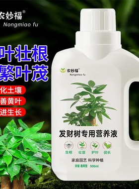 发财树专用营养液壮苗防菌易吸收喷施浇灌两用型大容量液体肥料