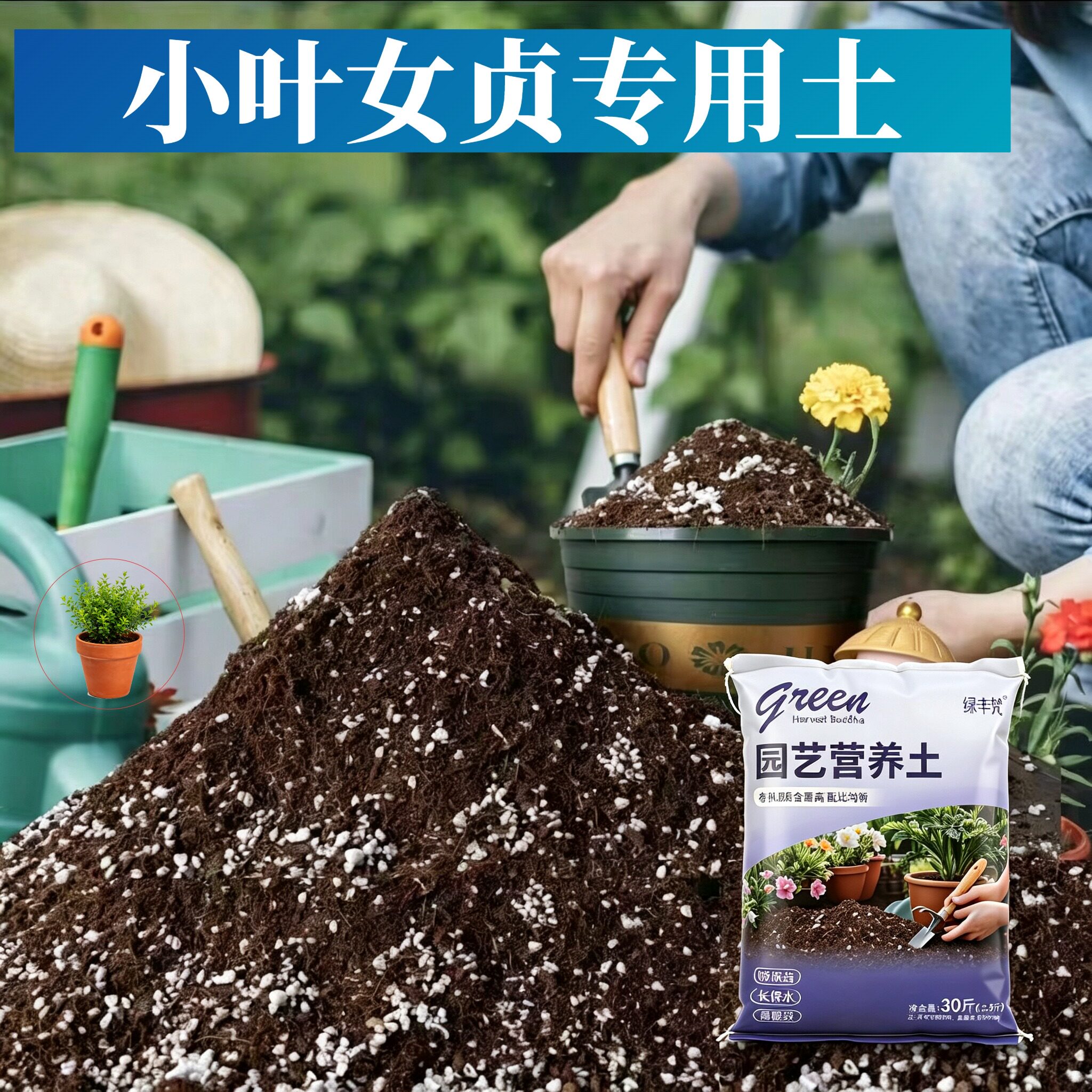 小叶女贞适用盆景土防烂根盆栽大包进口绿叶观花腐殖泥炭土腐叶土