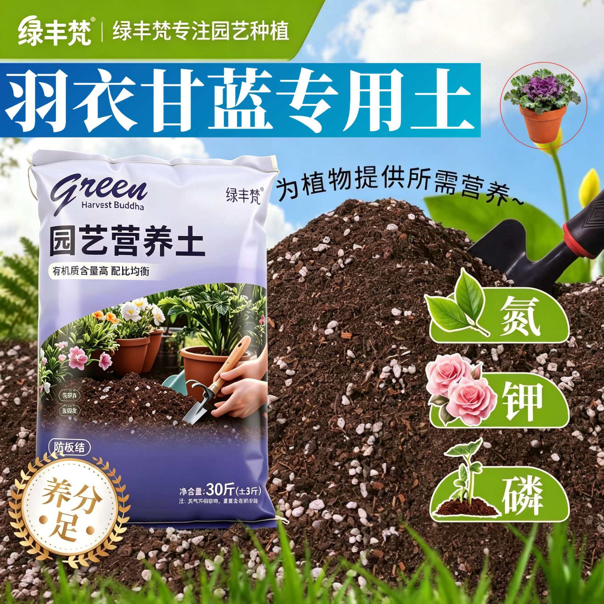 羽衣甘蓝专用栽培土不烂根加珍珠岩盆栽加牛粪优质促生长多肉扦插