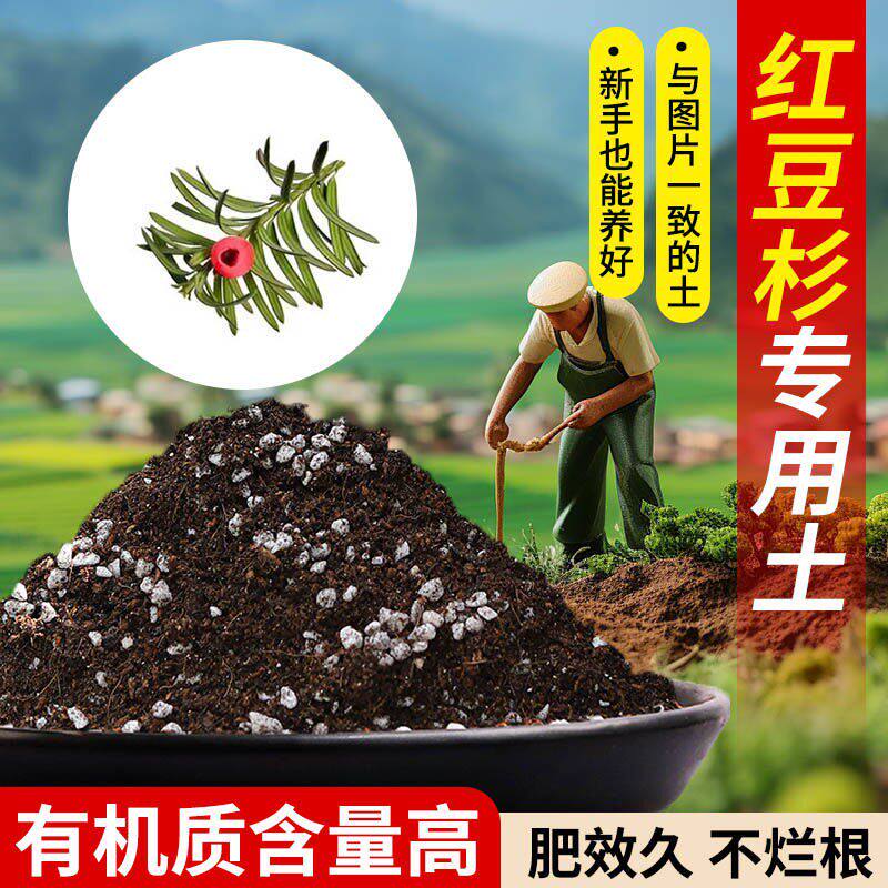 红豆杉营养土适用土疏松透气含泥炭肥料通用有机种植土轻质专用土