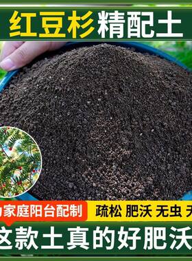红豆杉营养土种菜专用土清仓种花专用有机肥料土多肉扦插育苗土壤