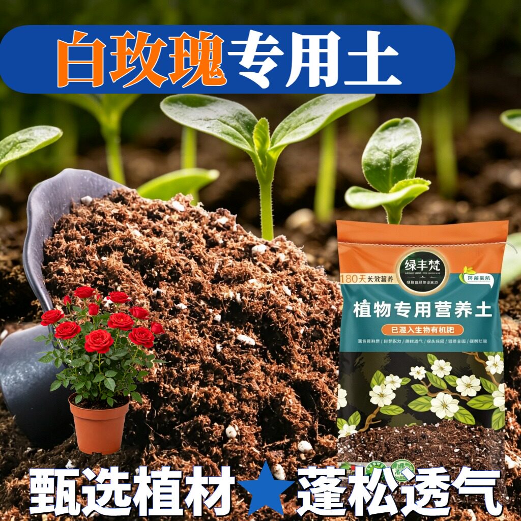白玫瑰专用基质持水性好嫁接营养土无菌减少积水开袋即用观叶天然