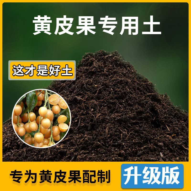 黄皮果专用土黄皮果营养土家用种植土壤家庭盆栽种花养花有机土