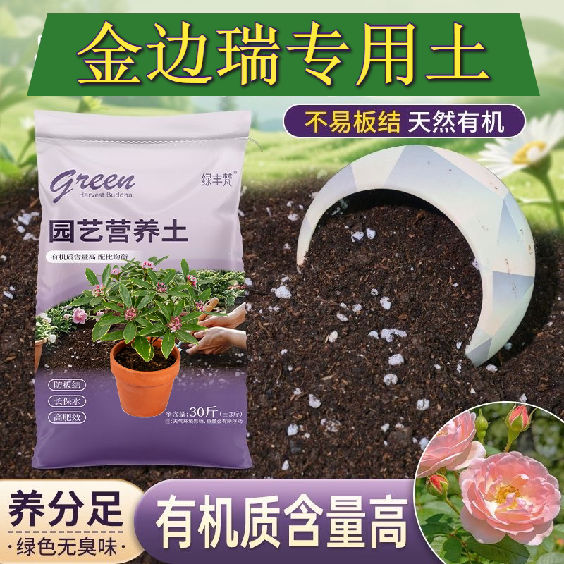 金边瑞专用营养土保水锁肥园艺加深生根粉有机绿叶球根室内加牛粪