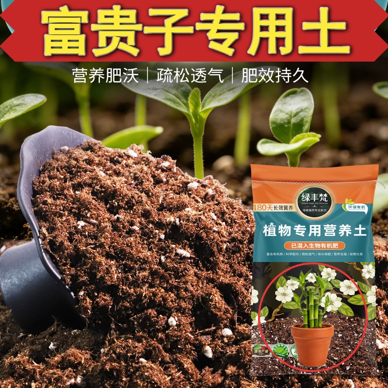富贵子专用花泥不板结盆景种植土干净无尘促生长无草籽球根有机