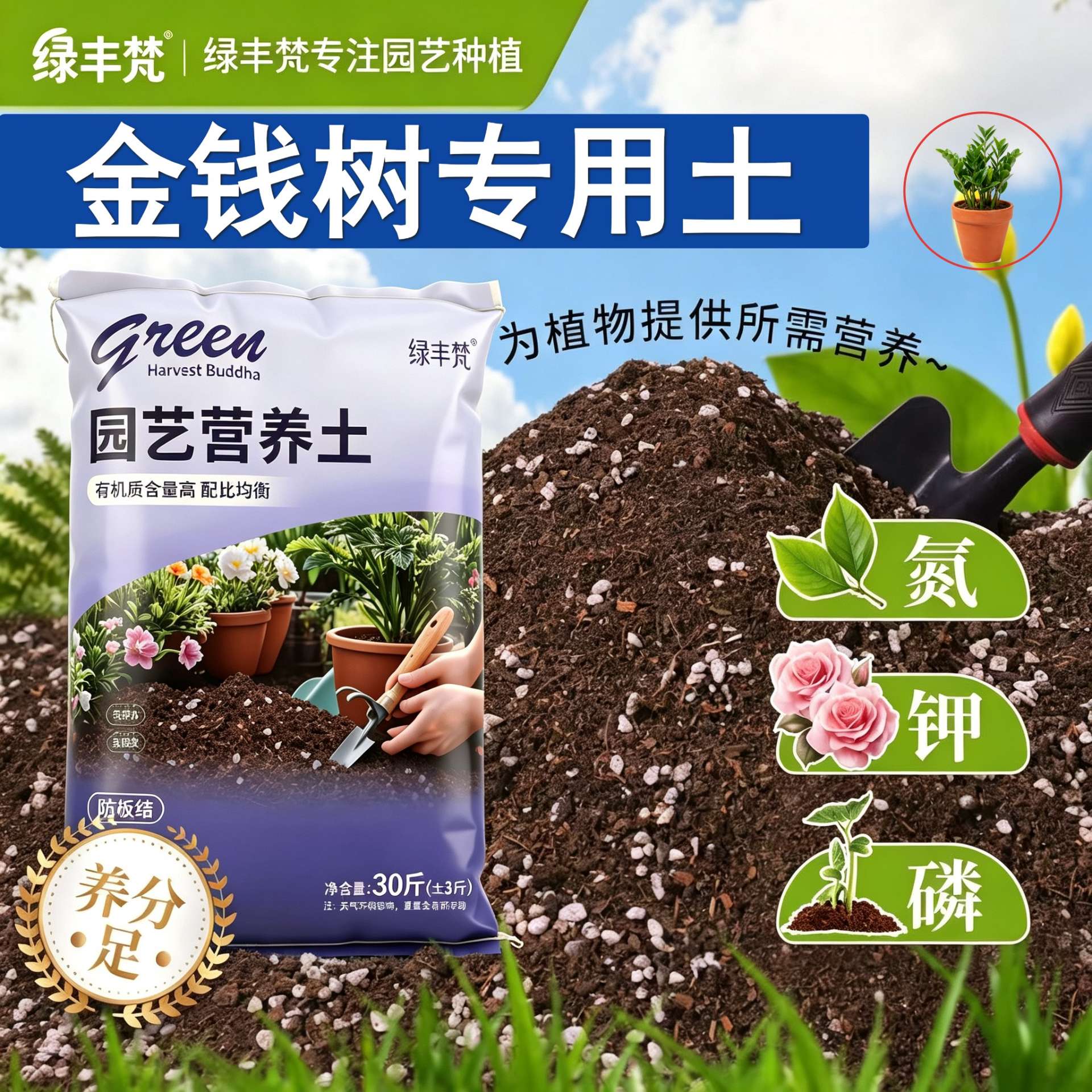 金钱树适用有机土加珍珠岩菜园加牛粪进口防黄叶多肉家庭园艺天然