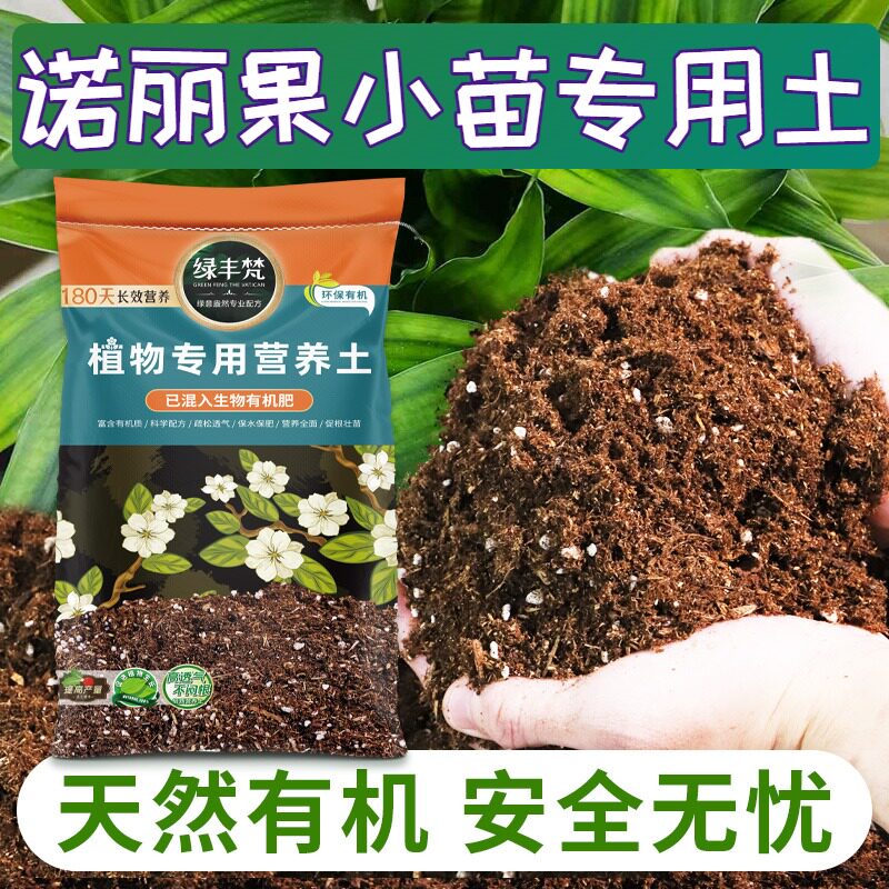 诺丽果小苗专用种植土改良土质营养土精选减少积水开袋即用球根