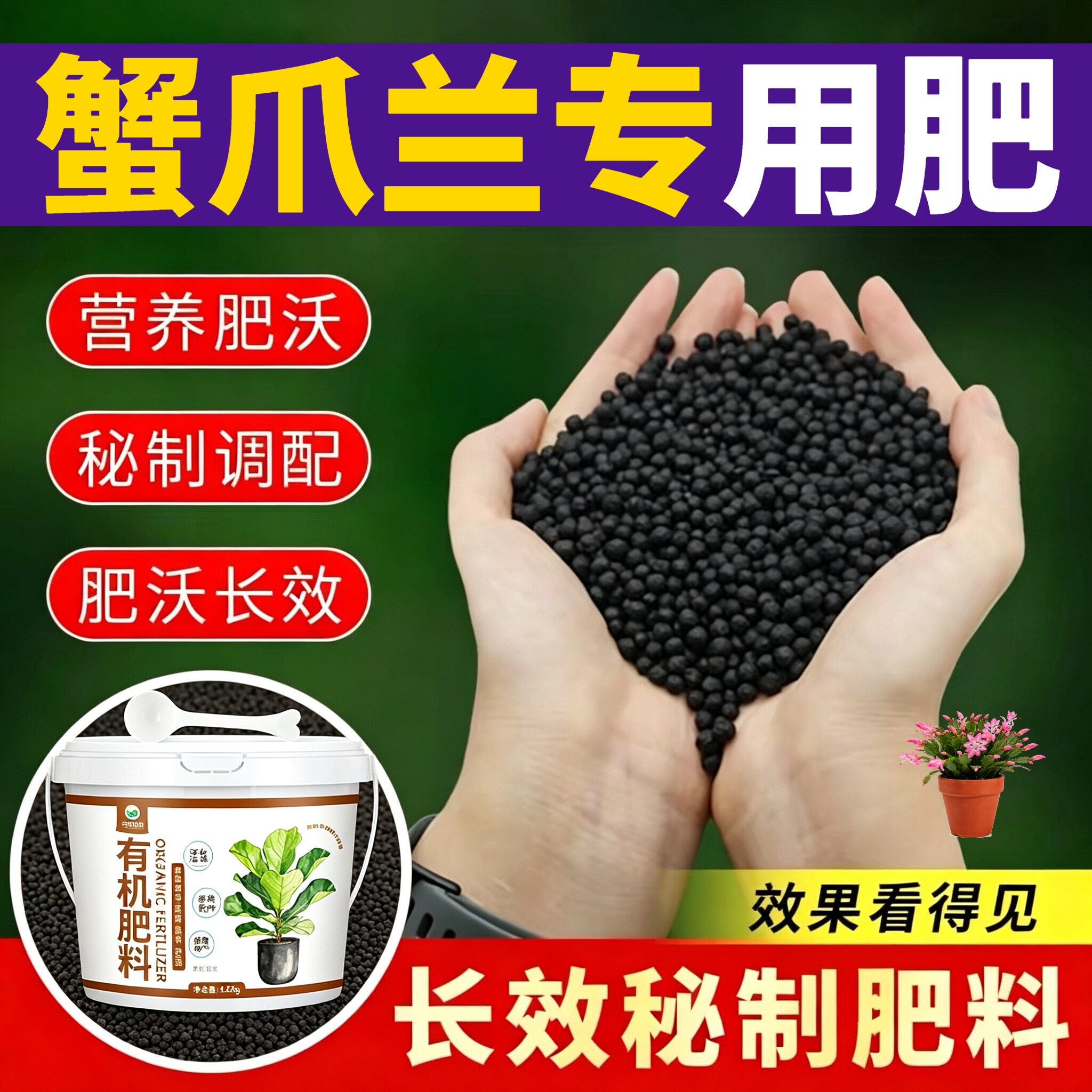 蟹爪兰专用肥花肥壮苗促长阳台追肥易吸收园艺花多色艳水溶肥盆栽