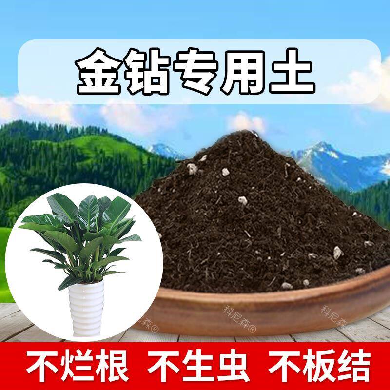 金钻专用土肥料金钻专用营养土种花土家庭花盆土育苗花土有机土壤