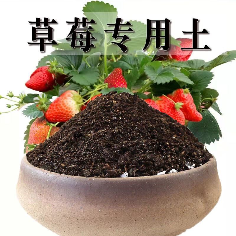 草莓专用营养土瓜果树通用土壤草莓盆栽种植土阳台育苗有机土肥料