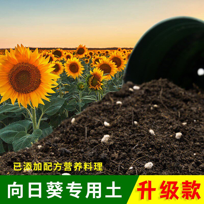向日葵专用土有机土肥料家用种植土向日葵营养土盆栽养花通用包邮