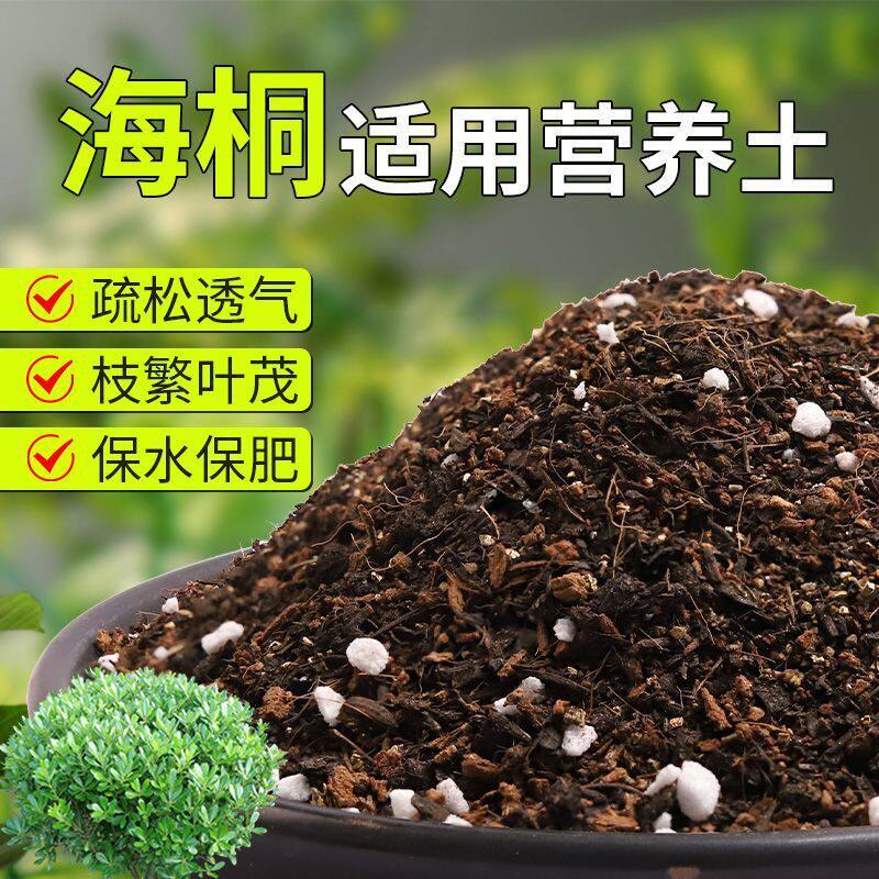 【海桐专用土】疏松透气盆栽绿植专用园艺室内植物有机营养土肥料