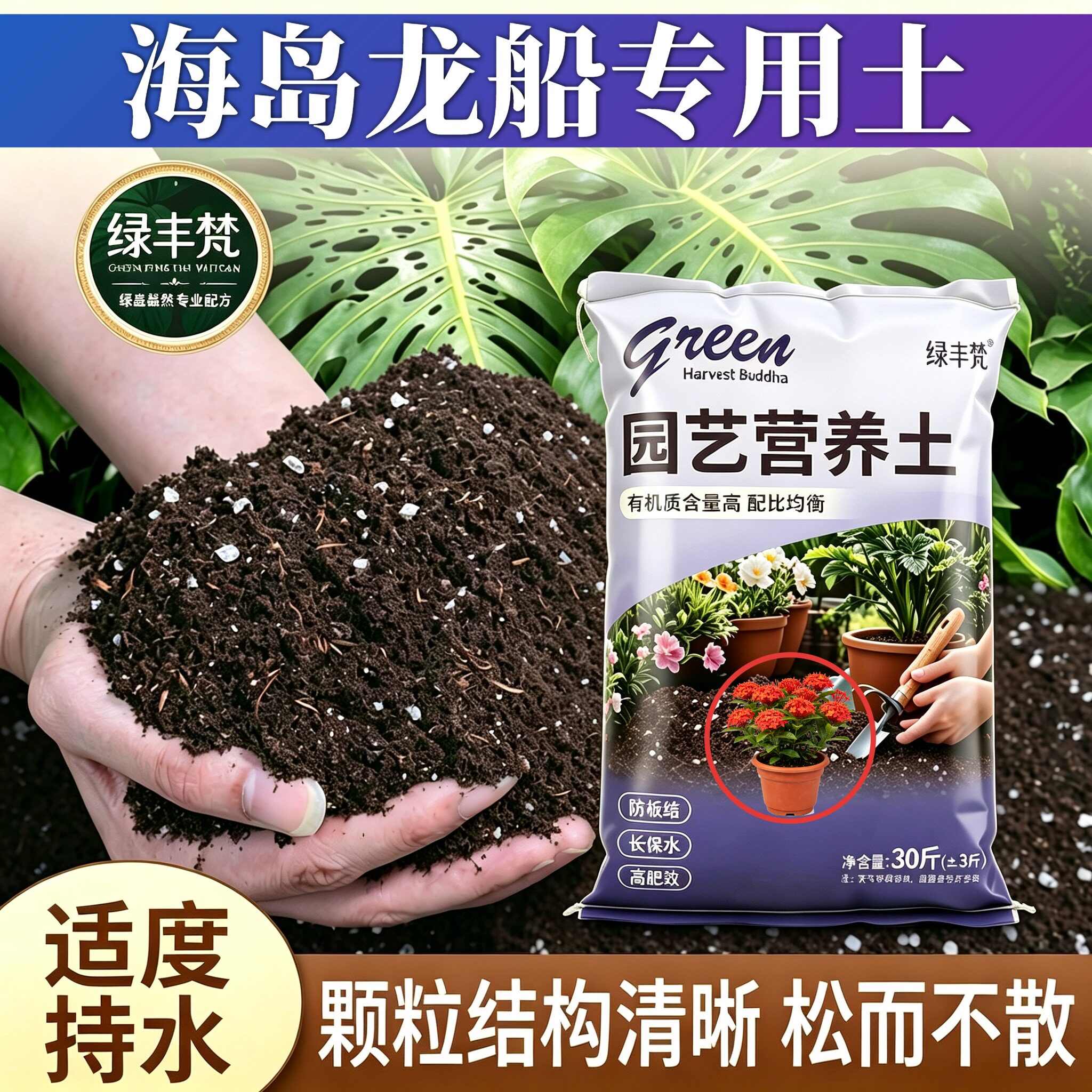 海岛龙船适用种菜土不烂根扦插包邮进口增色多肉加深生根粉轻质土