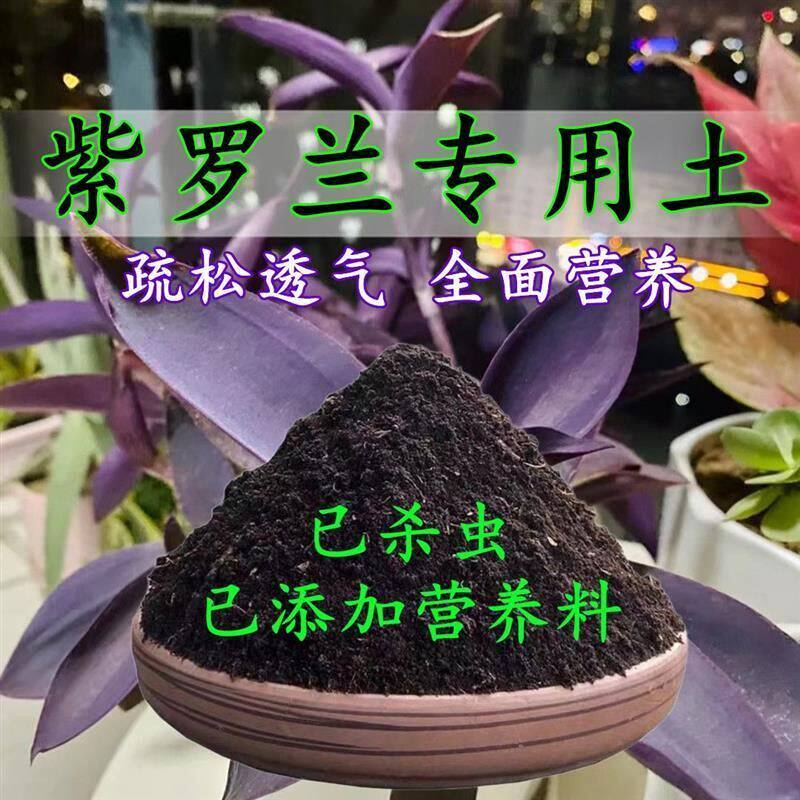 紫罗兰专用土紫罗兰专用营养土盆栽土养花种花土通用种植土壤肥料