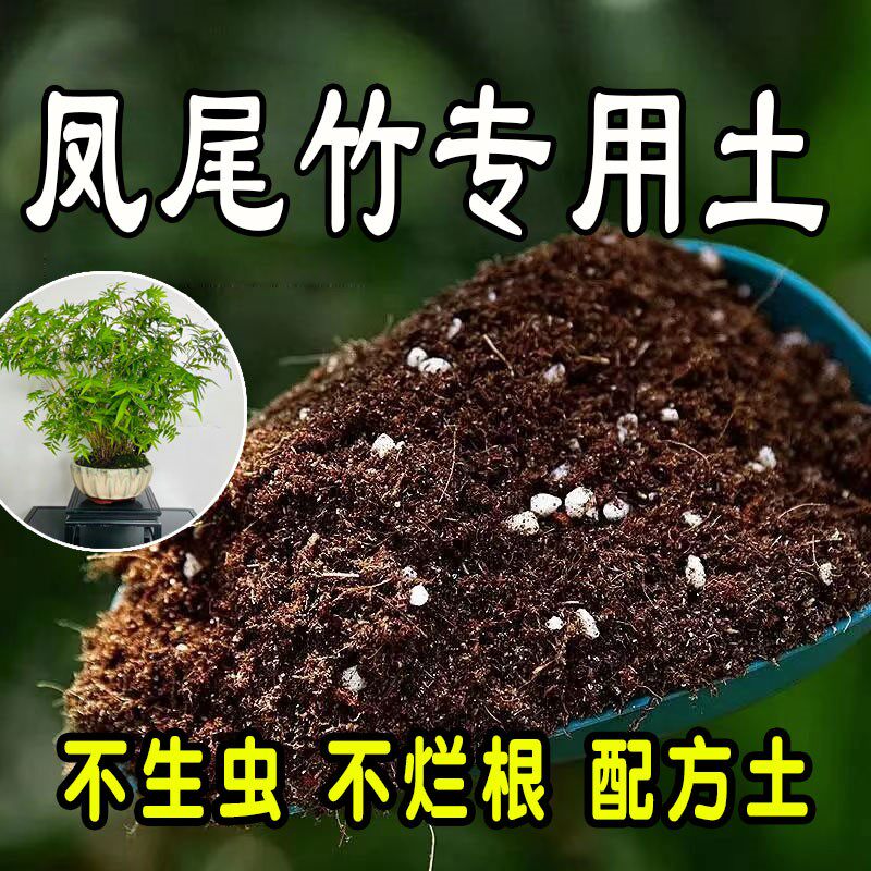 凤尾竹专用营养土种植土盆栽营养土通用肥料土壤种花养花土绿植土