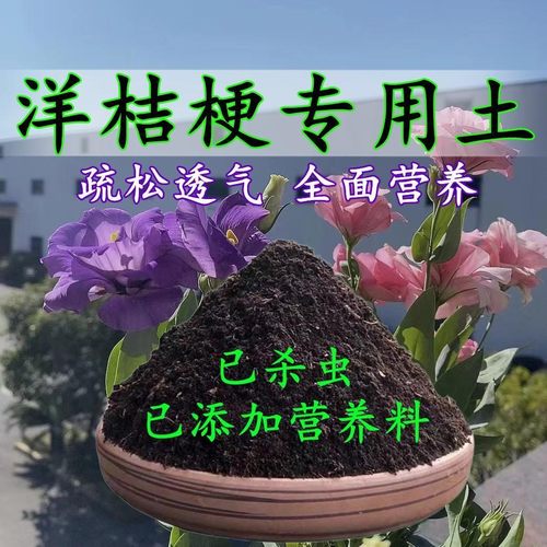 洋桔梗花专用土洋桔梗花土盆栽营养土酸性泥炭土壤绿植种植土肥料