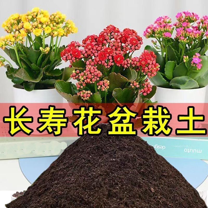 长寿花营养土长寿花专用土家用养花土盆栽土通用种花土室内花卉土