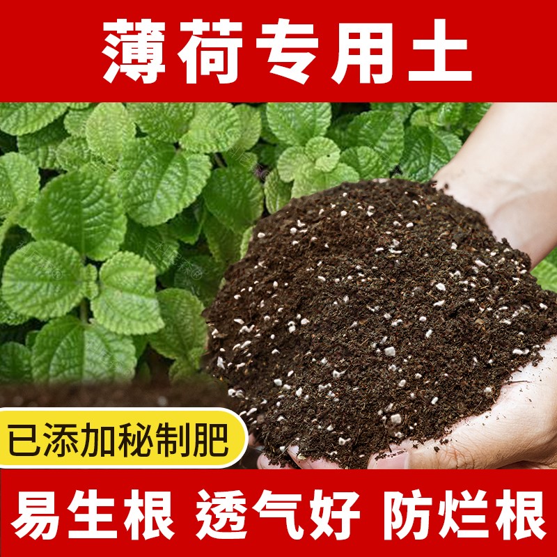 薄荷专用营养土阳台盆栽草莓种植有机土壤通用型草莓营养土壤