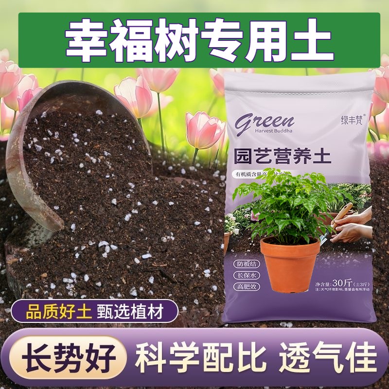 幸福树专用营养土加珍珠岩疏松透气盆景泥炭基质天然促生长球根