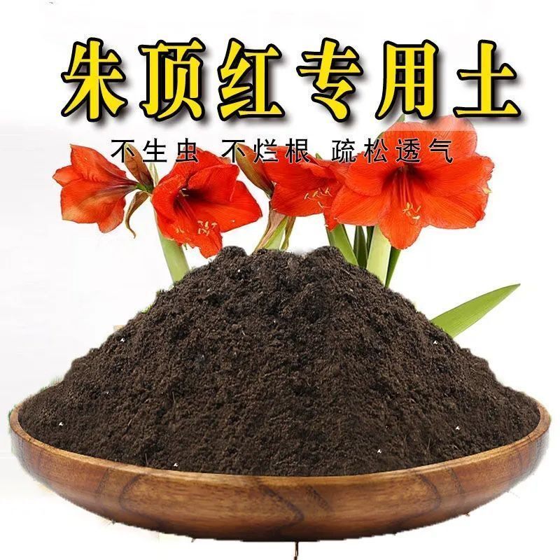 朱顶红专用土朱顶红营养土椰糠土家用种植土盆栽绿植疏松透气土壤