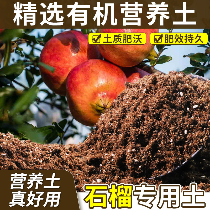 石榴适用栽培土室内适用物料规整理化性质稳定大包装终年常绿