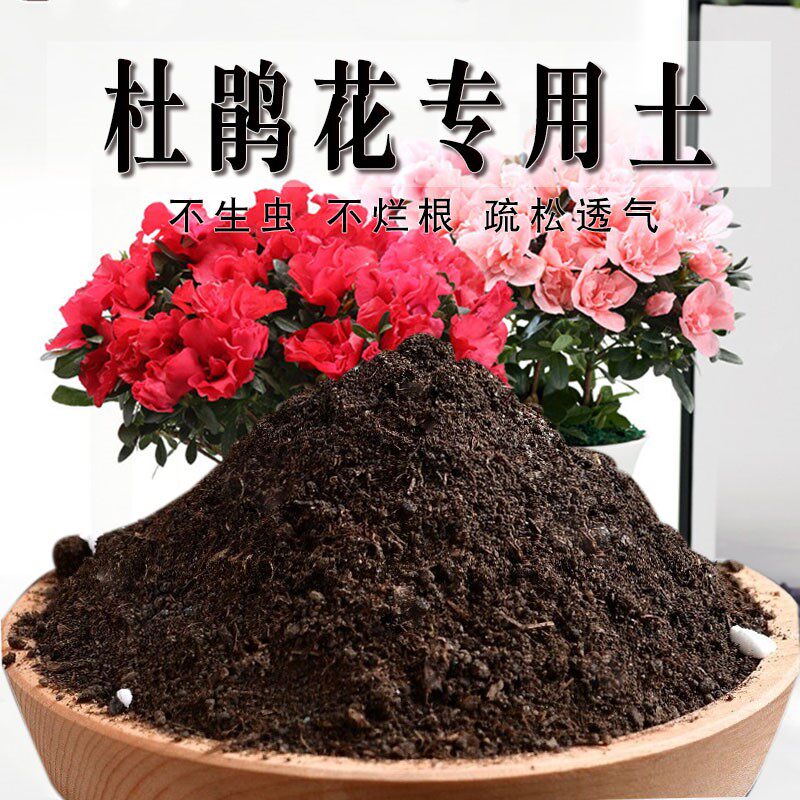 杜鹃花专用土养花通用型杜鹃花营养土家用种植土绿植酸性肥料土壤