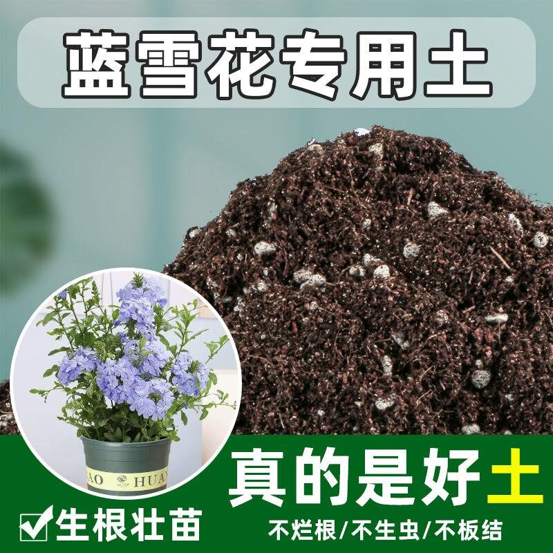 蓝雪花专用土爬藤腐殖土植物培植土阳台花卉通用型营养腐叶土壤