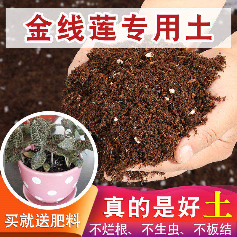 金线莲专用土有机营养土通用型花卉营养土花泥土壤泥土种植土养花