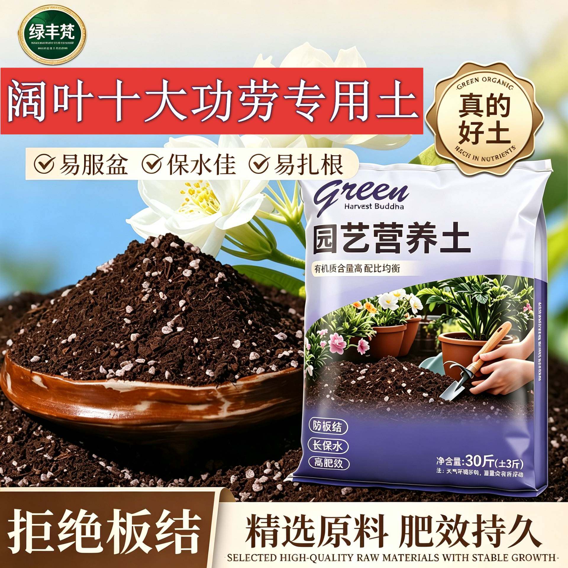 阔叶十大功劳专用含泥炭根壮苗好扦插大包精选绿叶喜酸基质泥炭土