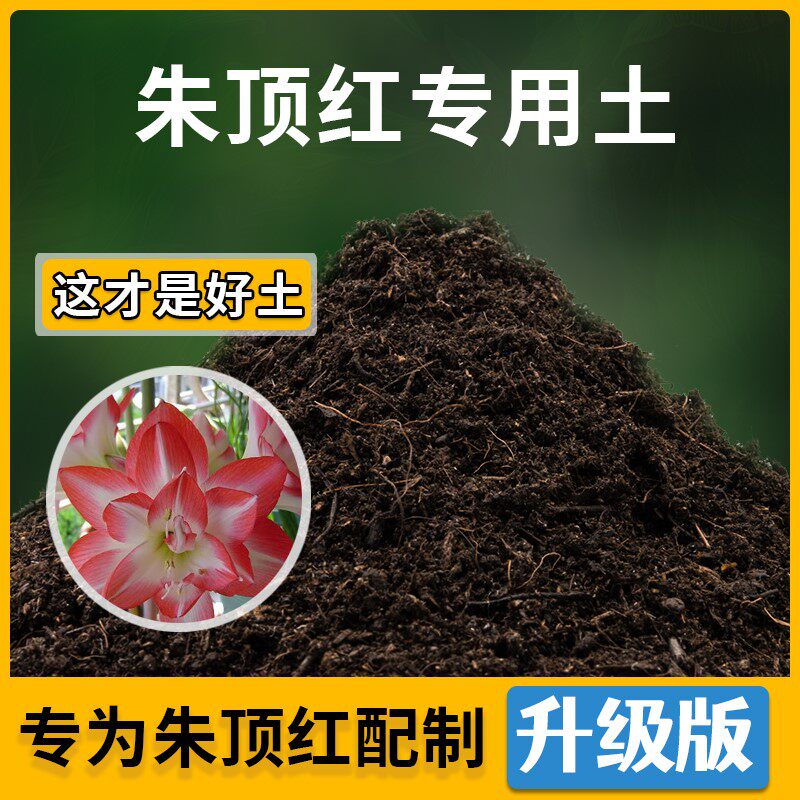 朱顶红专用土家用种植土透气朱顶红营养土盆栽种花养花有机土肥料