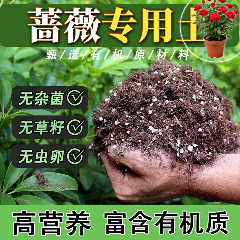 蔷薇适用轻质土营养土增色高压嫁接专用土植料绿叶育苗促开花室内