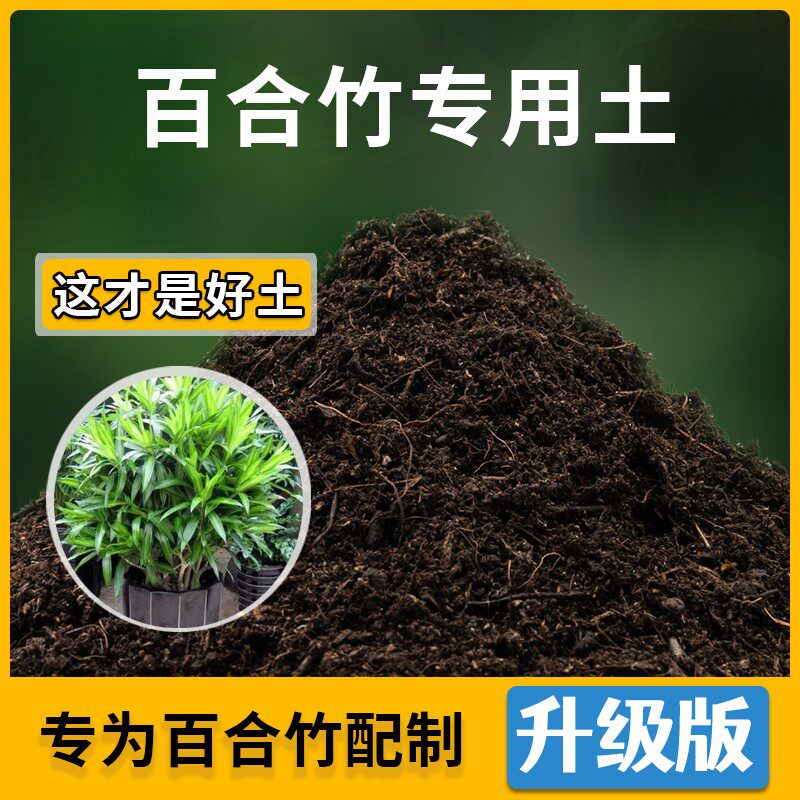 百合竹专用土家用种植土壤透气百合竹营养土盆栽种花养花有机土图片
