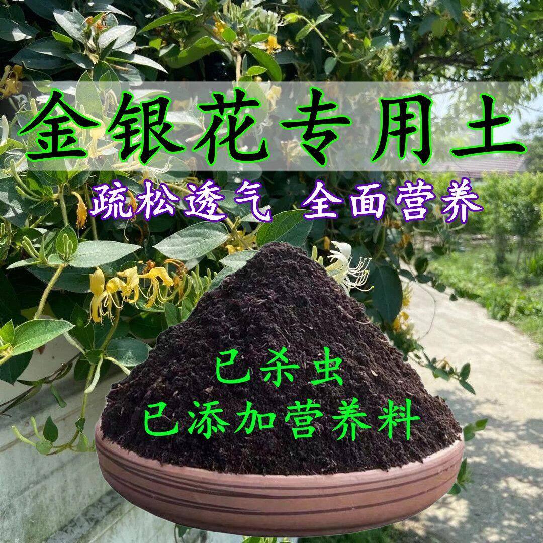 金银花专用土金银花专用营养土盆栽土养花种花土通用种植土壤肥料