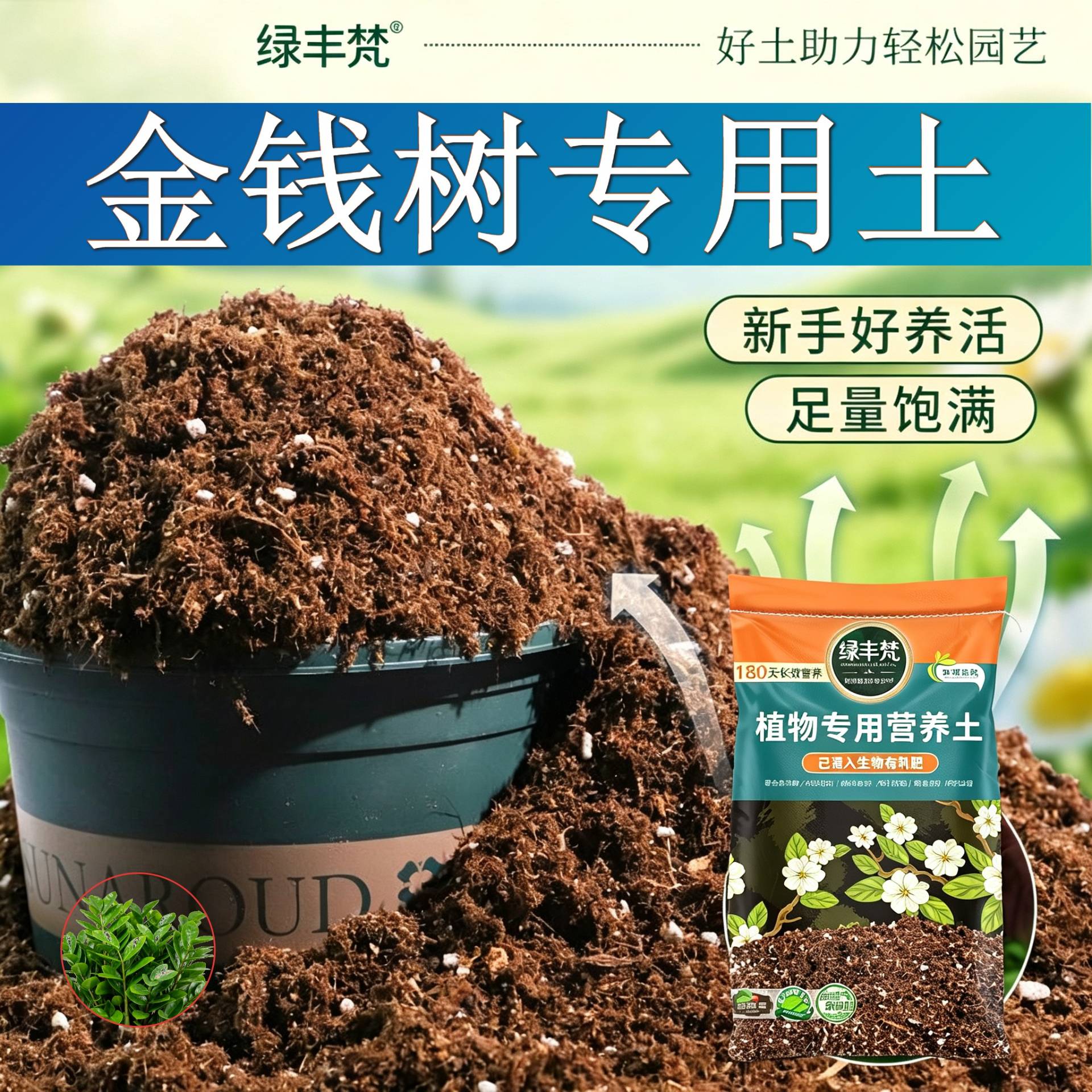 金钱树专用育苗土富含有机质种植土经久耐用留存水分无草籽球根