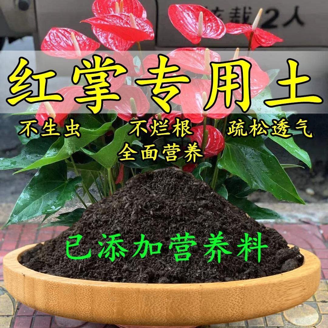 红掌专用土红掌专用营养土养花种花土通用种植土酸性土壤有机肥料