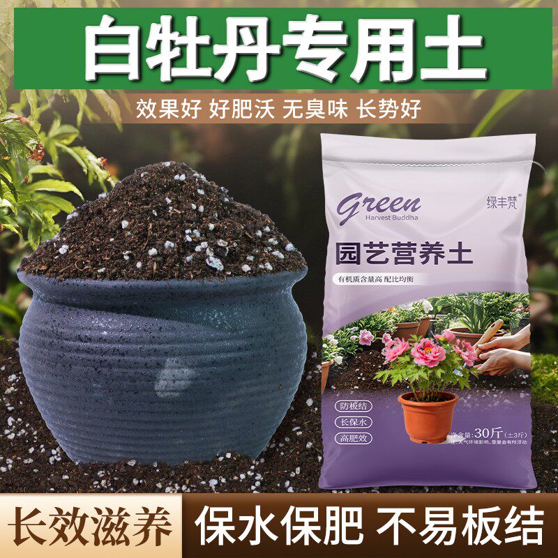 白牡丹专用有机土根壮苗好扦插泥炭基质优质绿叶球根花园盆景精选