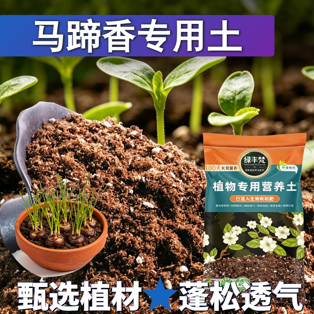 马蹄香专用种植土不易板结盆景营养土安全可靠绿叶家用装观花养花