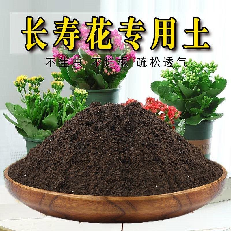 长寿花专用土长寿花专用营养土盆栽绿植土养花土壤种植土福利产品
