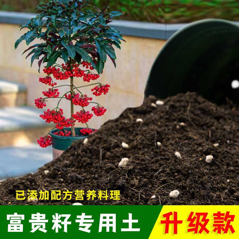 富贵籽专用土有机土肥料家用种植土富贵籽营养土盆栽养花通用包邮