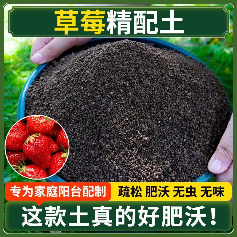 草莓营养土种菜专用土清仓种花专用有机肥料土壤多肉扦插育苗土壤
