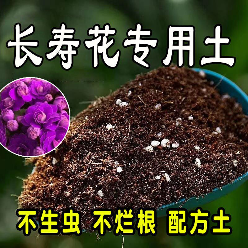 【长寿花专用土】营养土家庭盆栽绿植室内植物肥料种植土