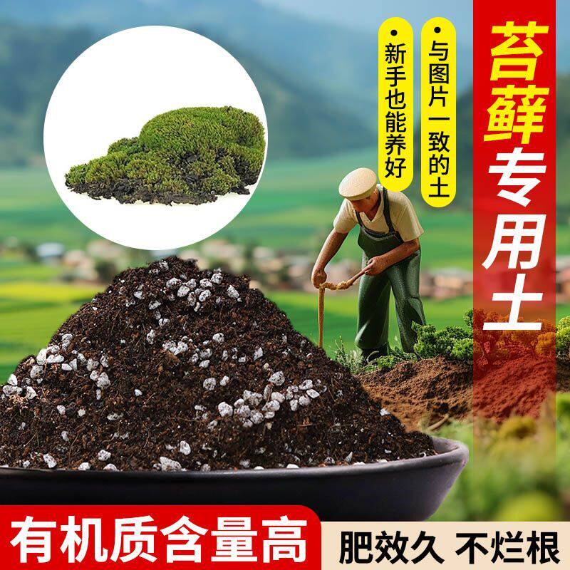苔藓专用土营养土疏松透气含泥炭肥料通用有机种植土轻质土
